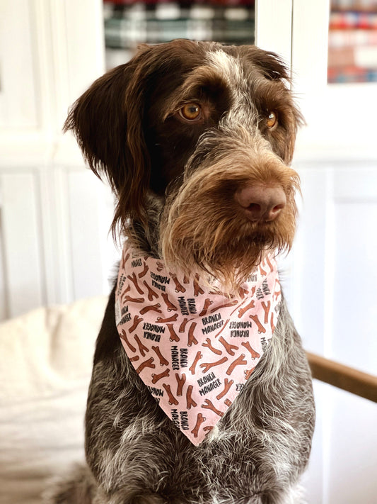 Branch Manager Dog Bandana - Pink