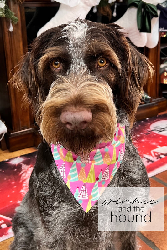 Pink Party Hats Dog Bandana