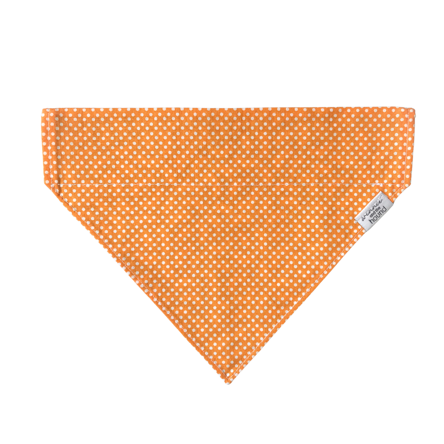 Sock Thief Dog Bandana