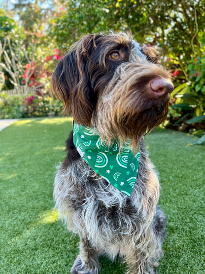 Over the Rainbow Over the Collar Dog Bandana