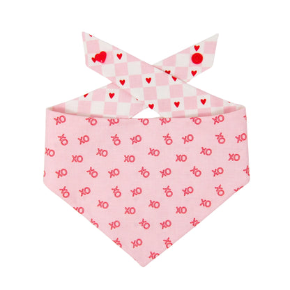 Amore Dog Bandana