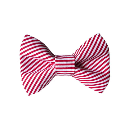 Candy Stripe Dog Bow Tie