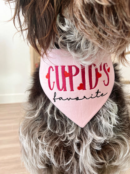 Dog wearing a pink bandana with 'Cupid's favorite' text