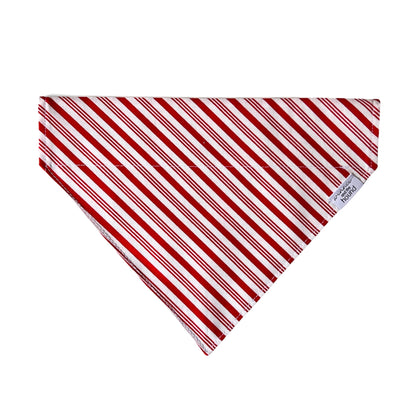 Hot Cocoa Dog Bandana