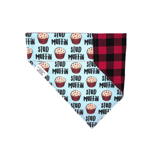 Stud Muffin Over the Collar Dog Bandana