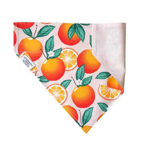 Summer Citrus Over the Collar Dog Bandana