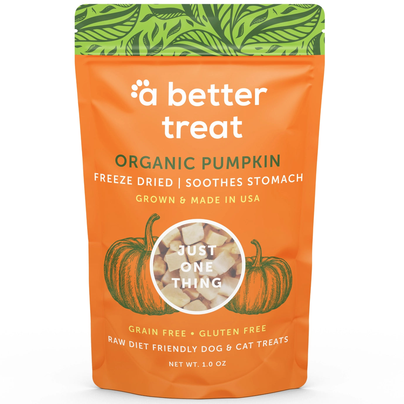 Freeze Dried Pumpkin