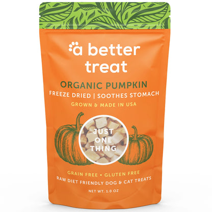 Freeze Dried Pumpkin