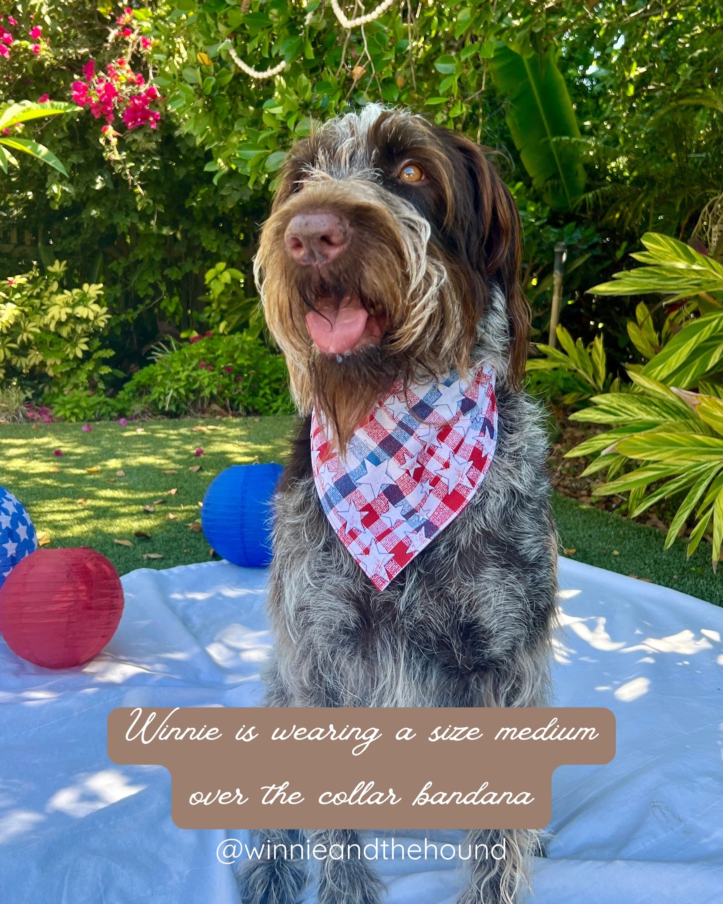 All American Dog Bandana