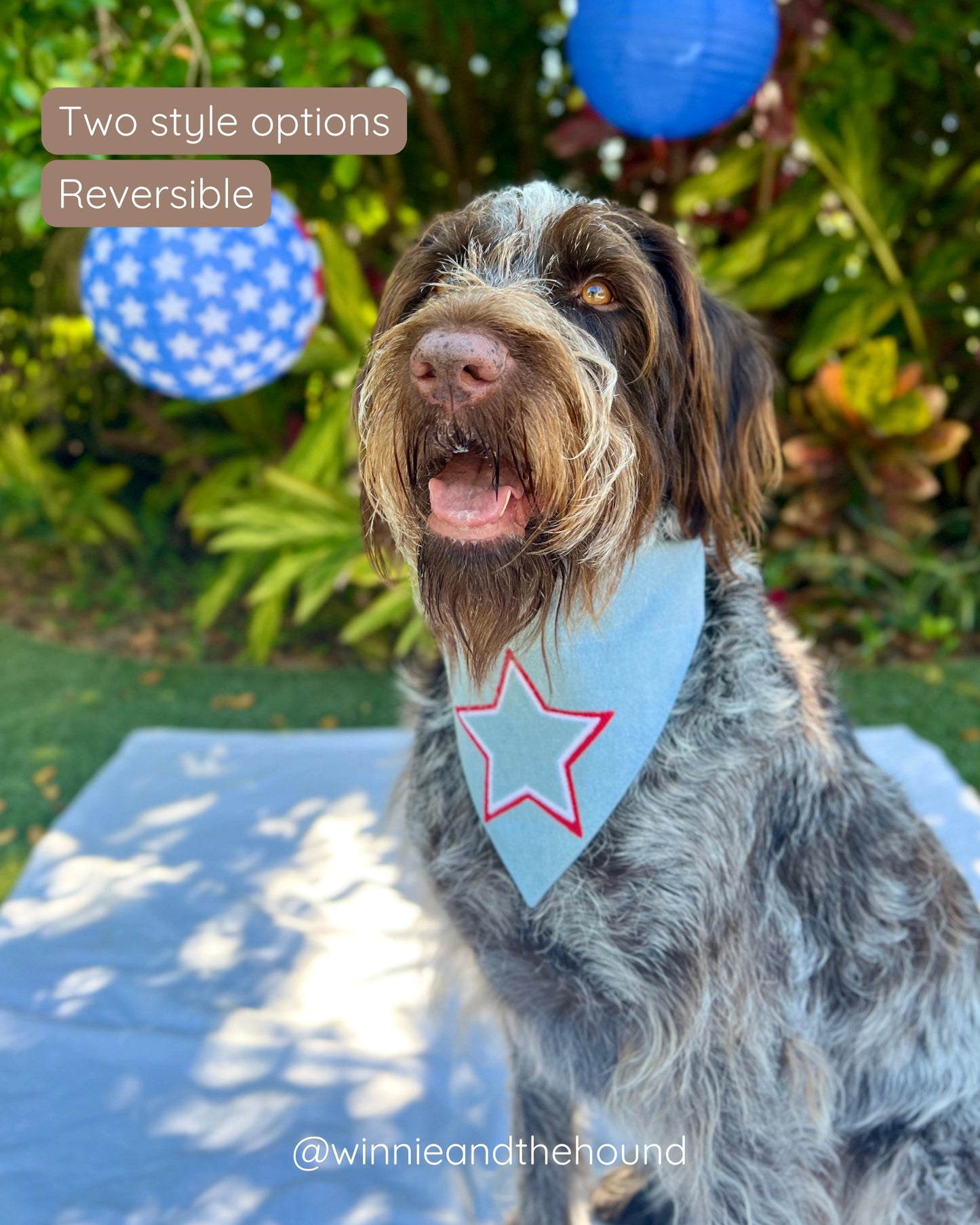 Americana Dog Bandana