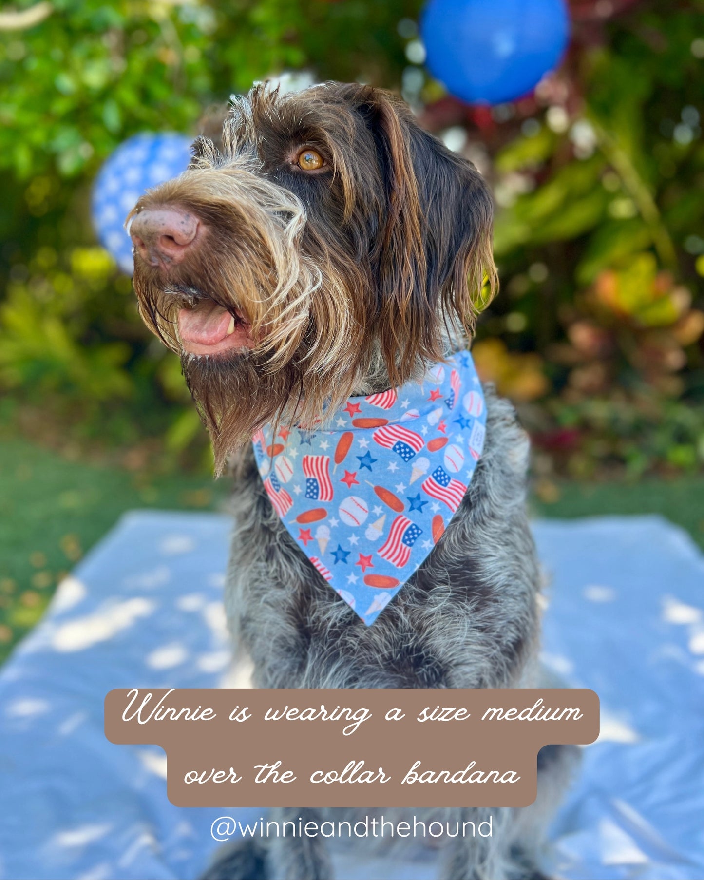 Americana Dog Bandana