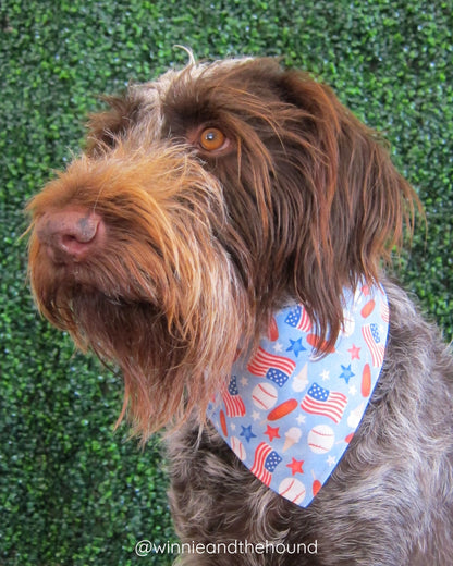 Americana Dog Bandana