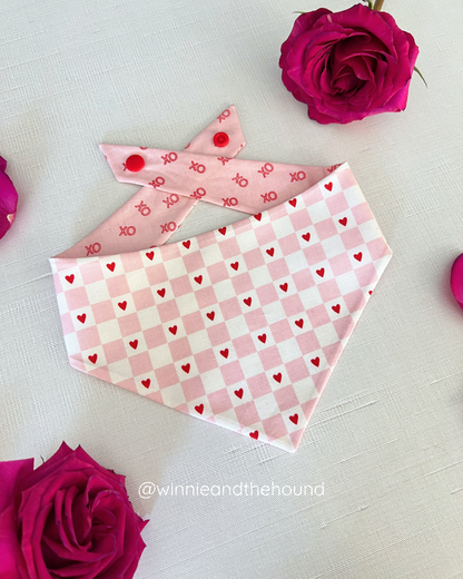 Amore Dog Bandana