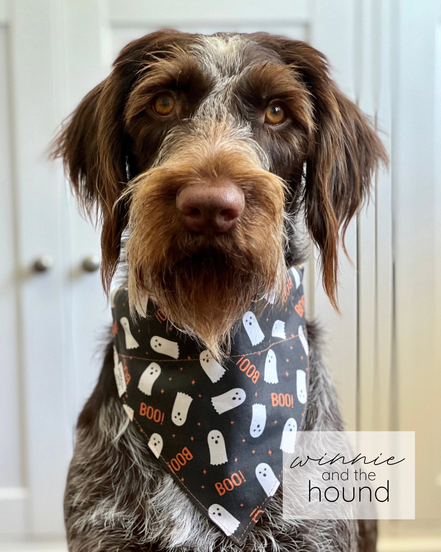 Scary Cute Reversible Dog Bandana