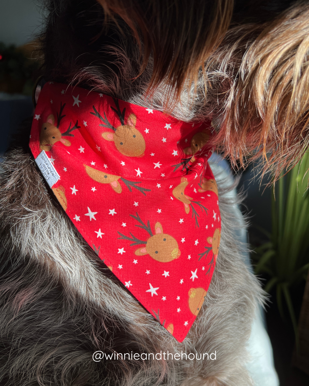 Blitzened Reindeer Dog Bandana