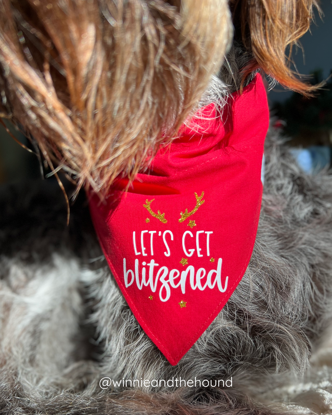 Blitzened Reindeer Dog Bandana