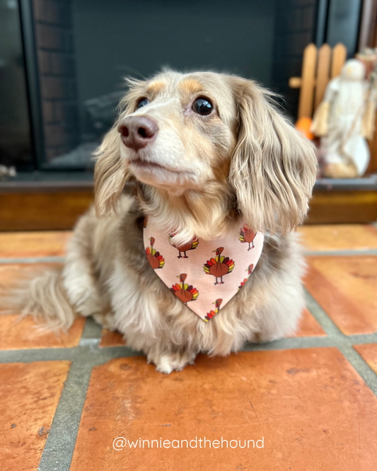 Gobble 'til You Wobble Dog Bandana