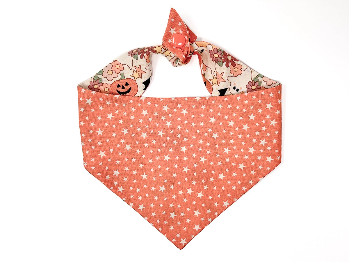 Owl-O-Ween Dog Bandana