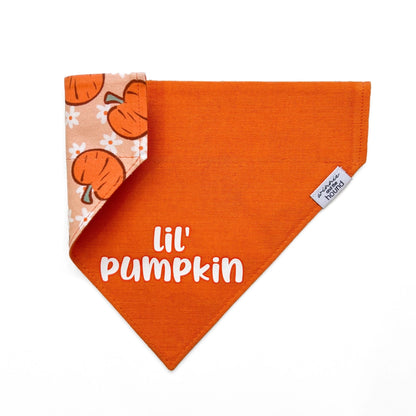 Lil' Pumpkin Dog Bandana