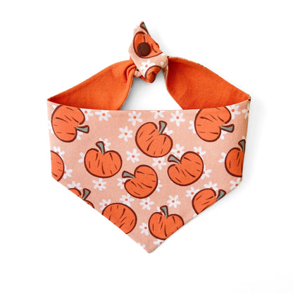 Lil' Pumpkin Dog Bandana