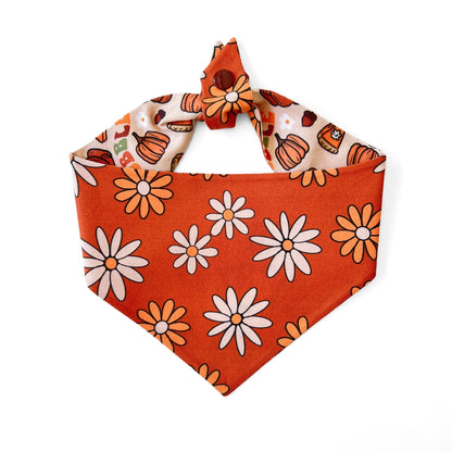 Boho Thanksgiving Dog Bandana