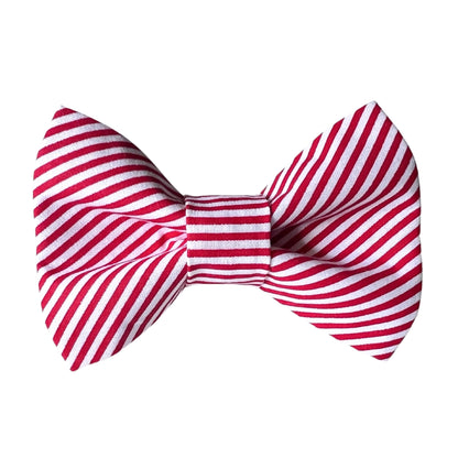 Candy Stripe Dog Bow Tie