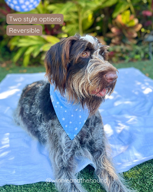 Chambray Stars Over the Collar Dog Bandana