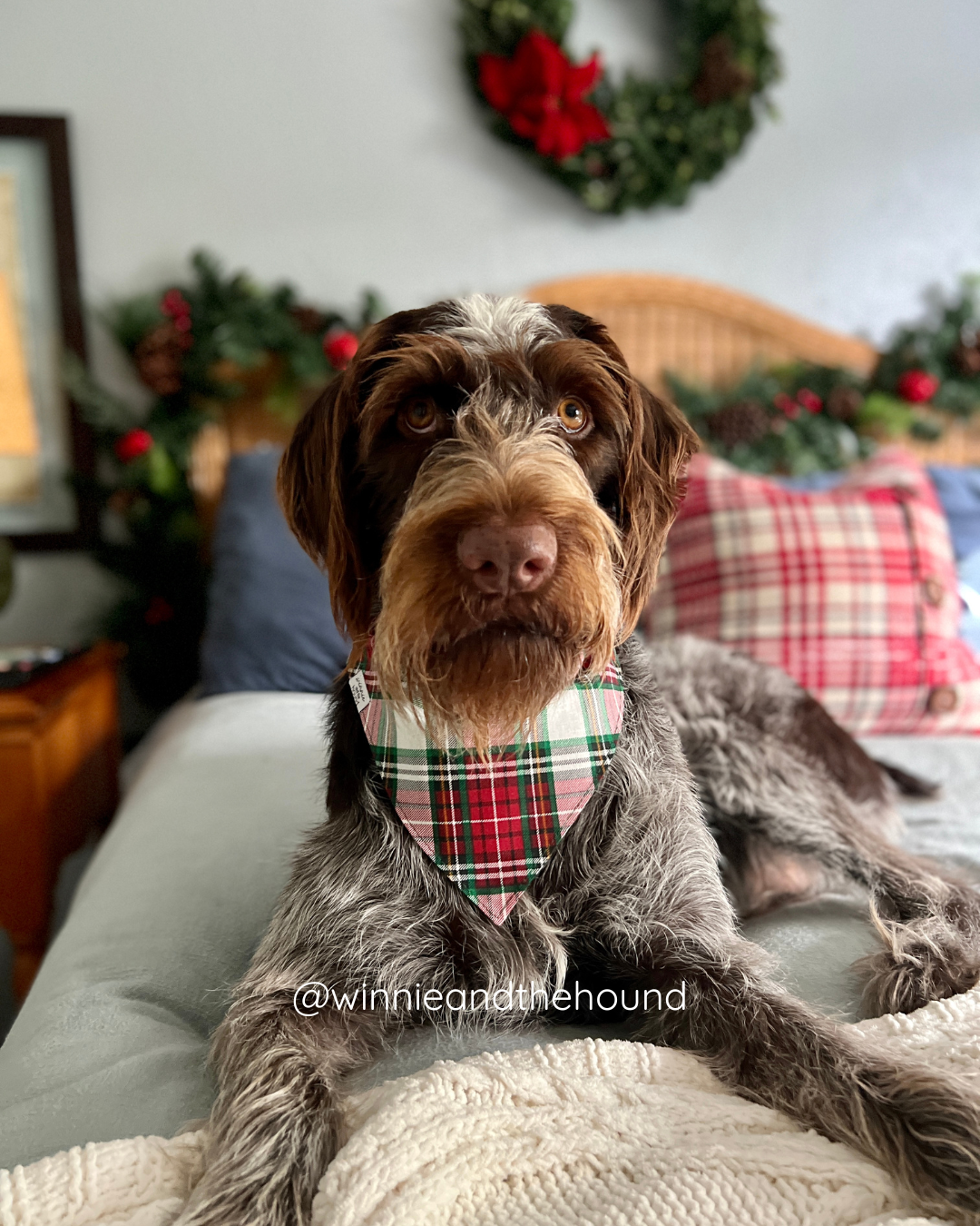 Making a List Dog Bandana