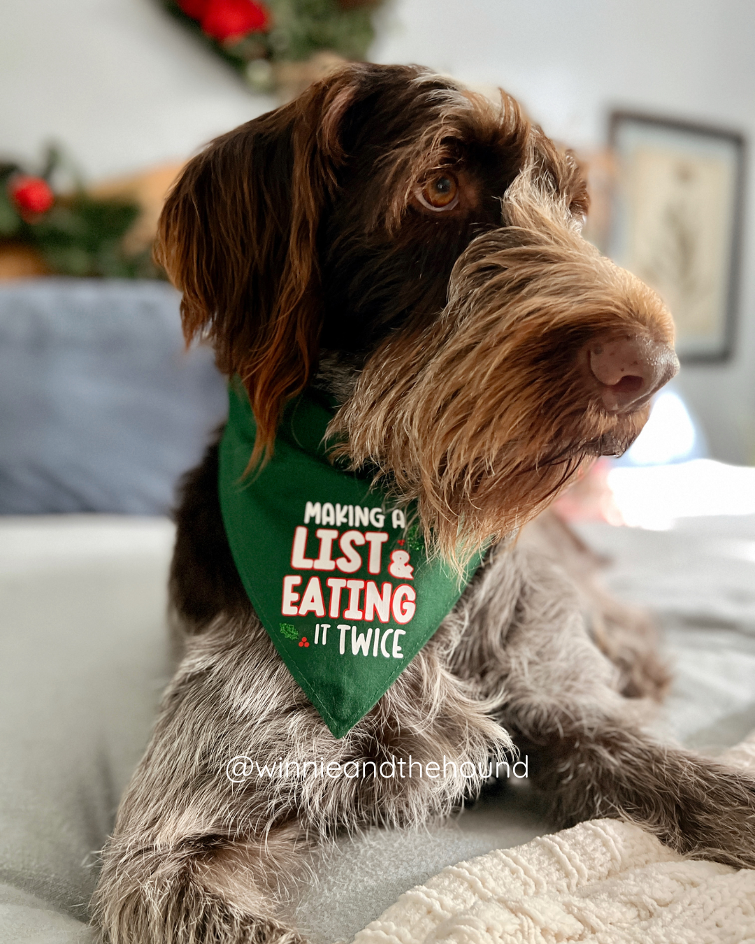 Making a List Dog Bandana