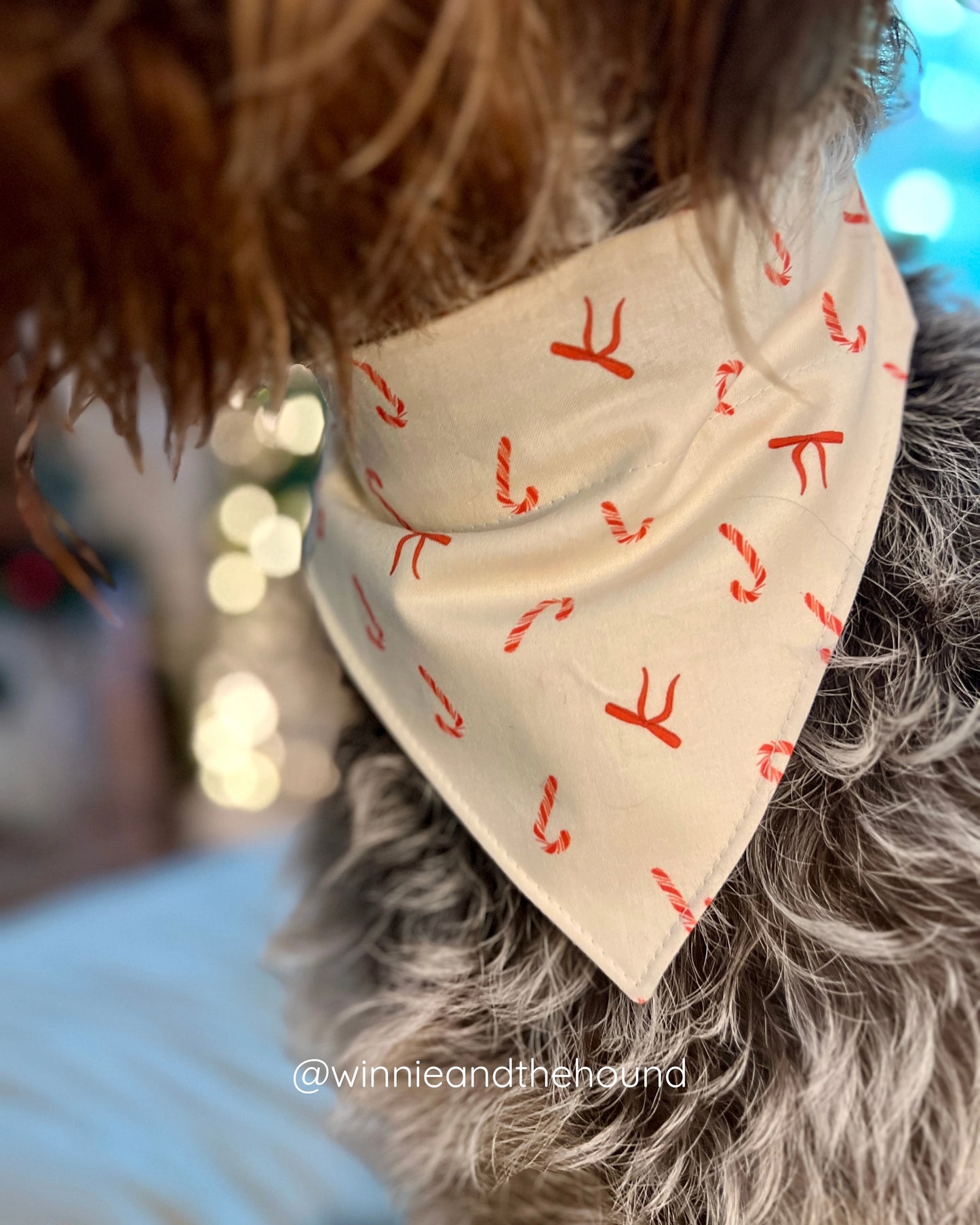 Coquette Christmas Dog Bandana