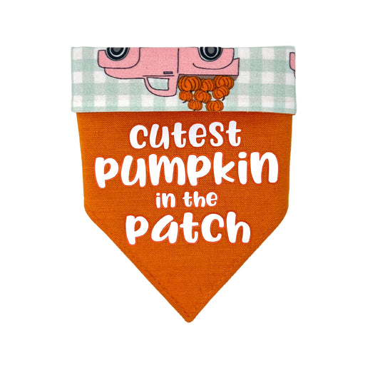 Cutest Pumpkin Dog Bandana