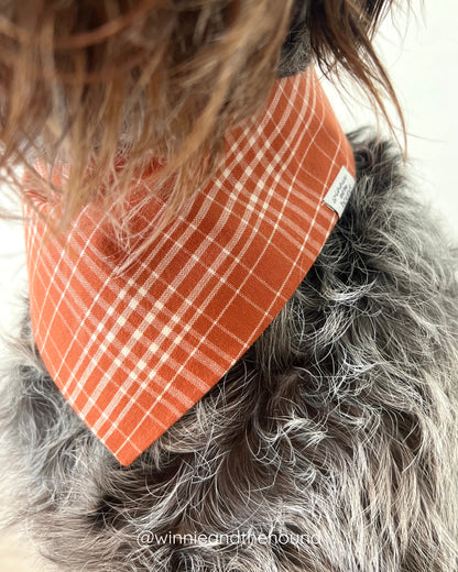 Fall Daisies Dog Bandana