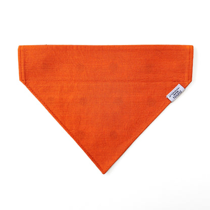 Lil' Pumpkin Dog Bandana