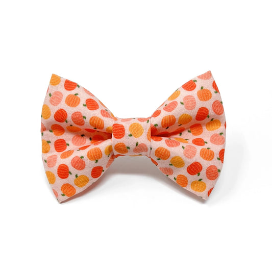 Fall Pumpkins Dog Bow Tie