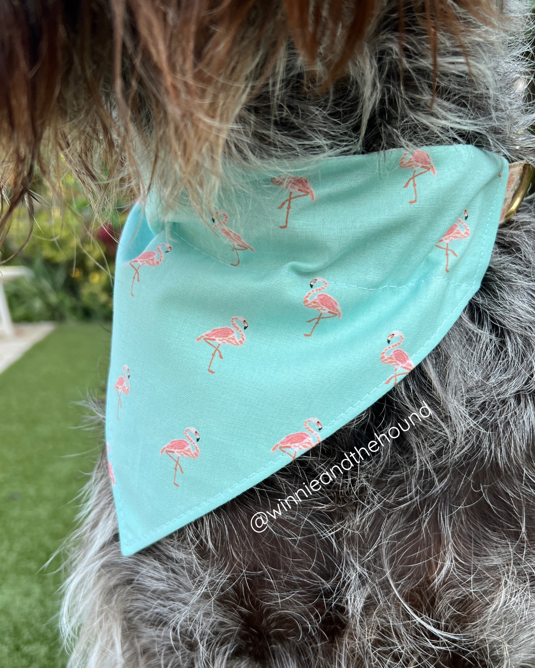 Flamingo Over the Collar Dog Bandana