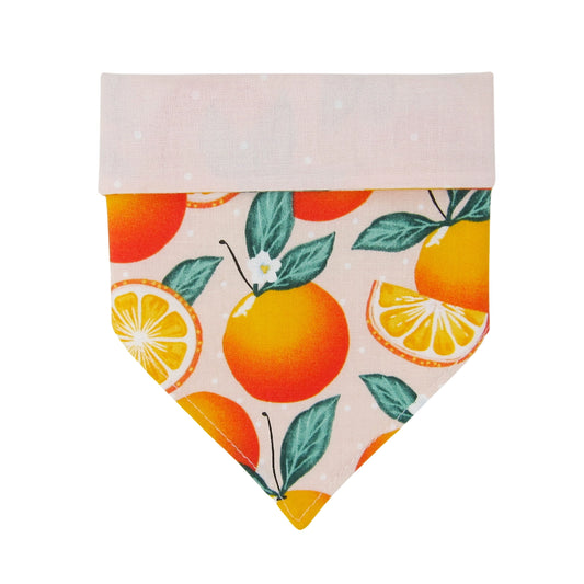 Summer Citrus Dog Bandana