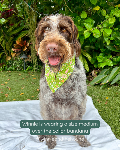 Garden Blooms Dog Bandana