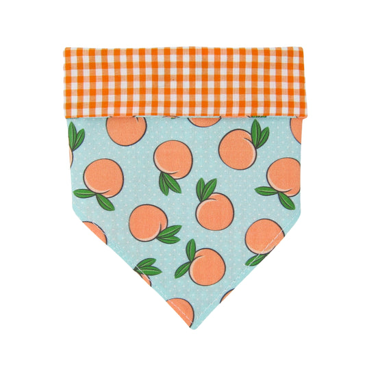 Georgia Peach Dog Bandana