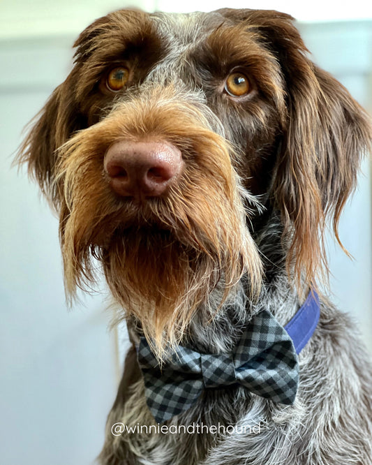Gray and Black Check Dog Bow Tie