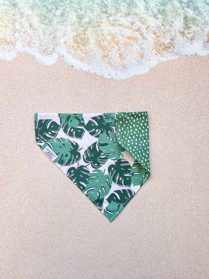 Green Monstera Dog Bandana