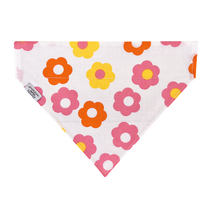 Groovy Daisies Over the Collar Dog Bandana