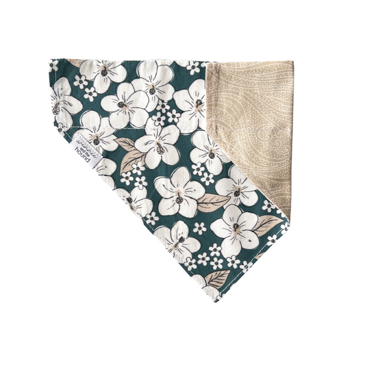 Hawaiian Hibiscus Over the Collar Dog Bandana