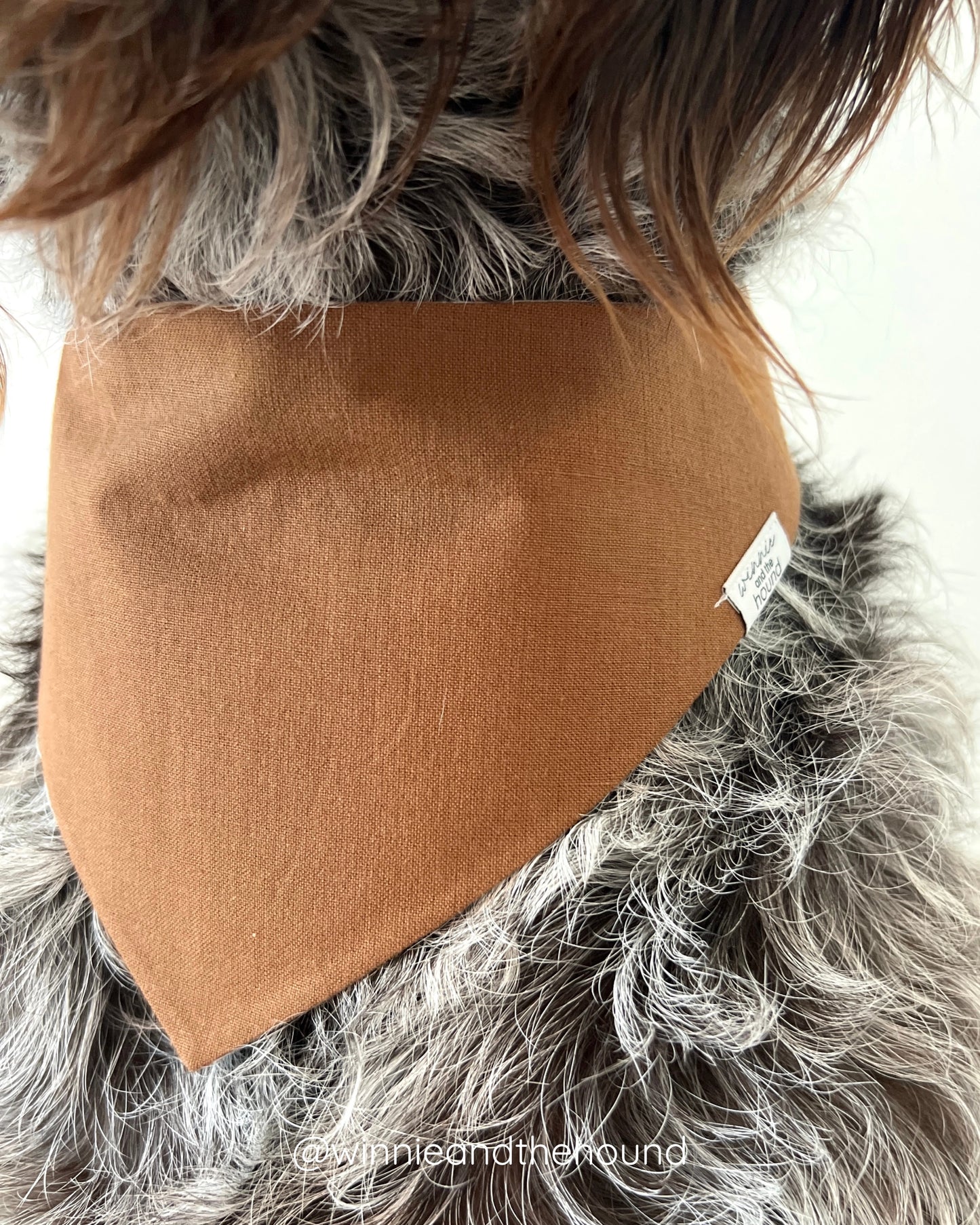 Heirloom Harvest Dog Bandana