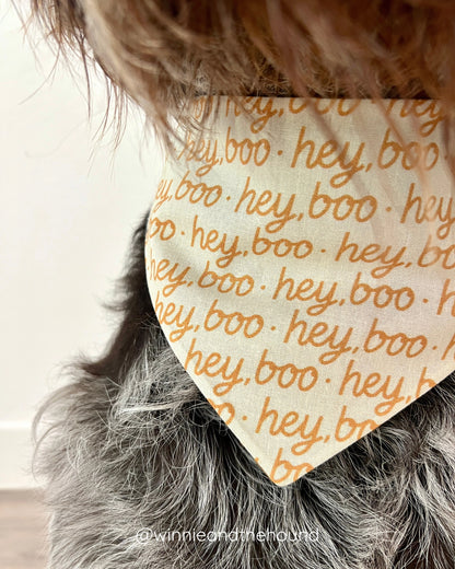 *PRE-ORDER* Hey, Boo Dog Bandana