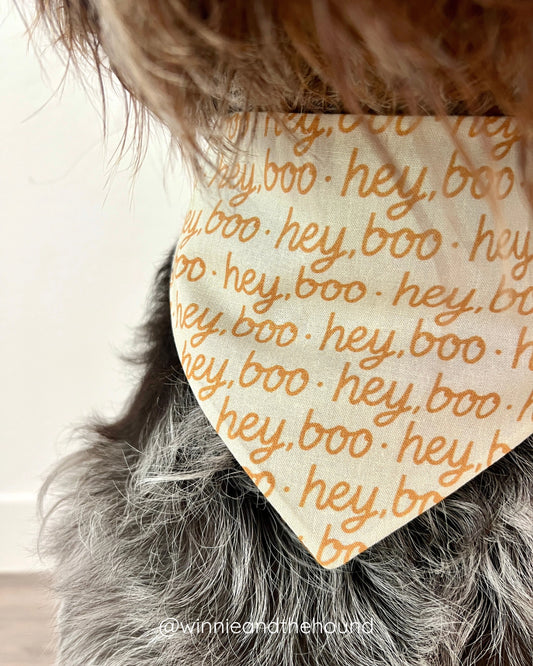 *PRE-ORDER* Hey, Boo Dog Bandana