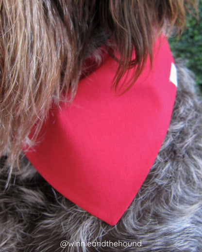Home Run Dog Bandana