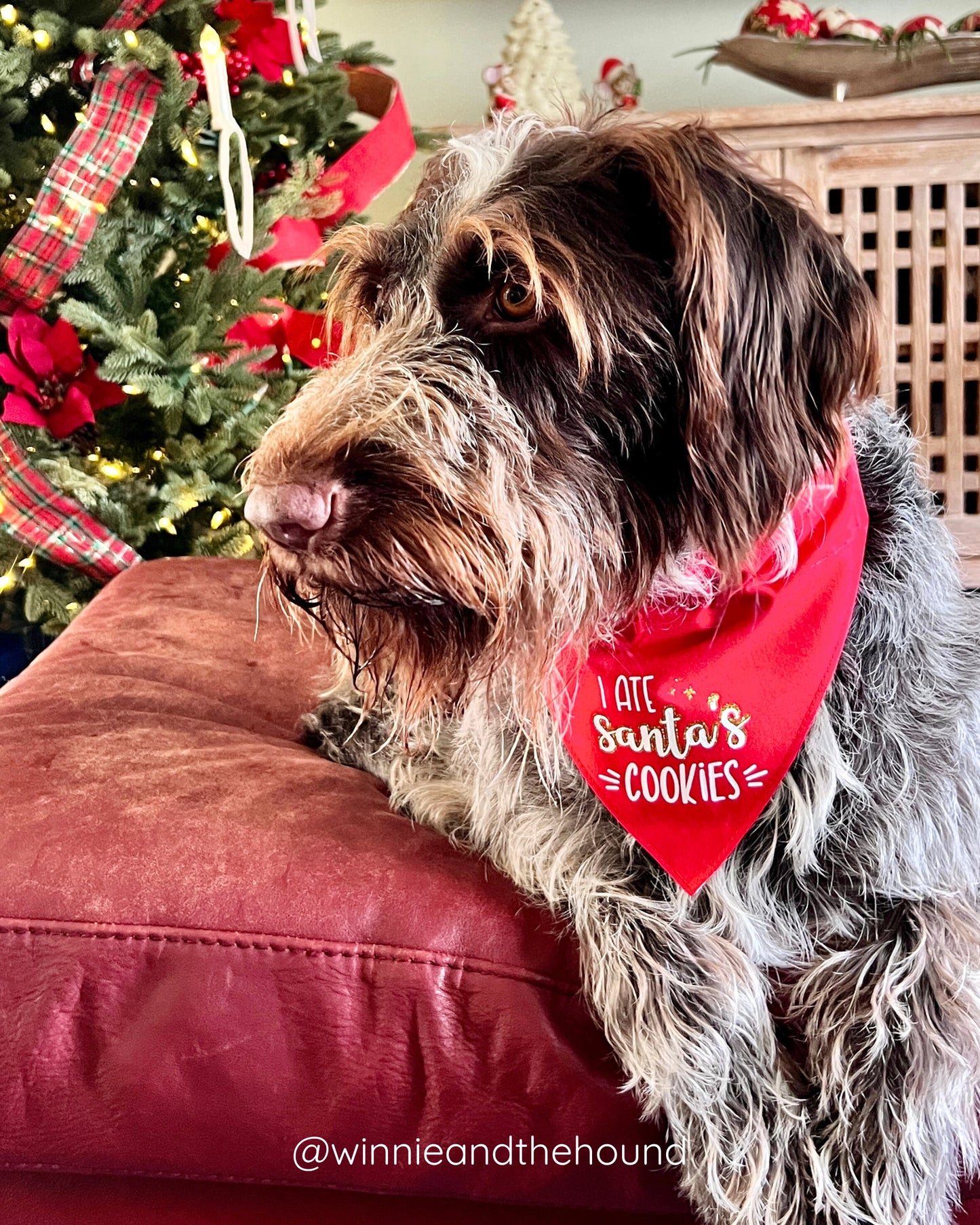 Gingerbread Cookies Dog Bandana