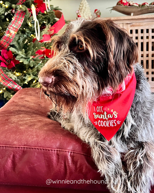 Gingerbread Cookies Dog Bandana