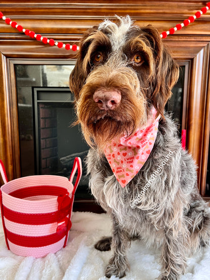 I Woof You Over the Collar Dog Bandana