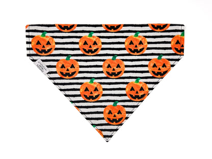 Getting Smashed Dog Bandana